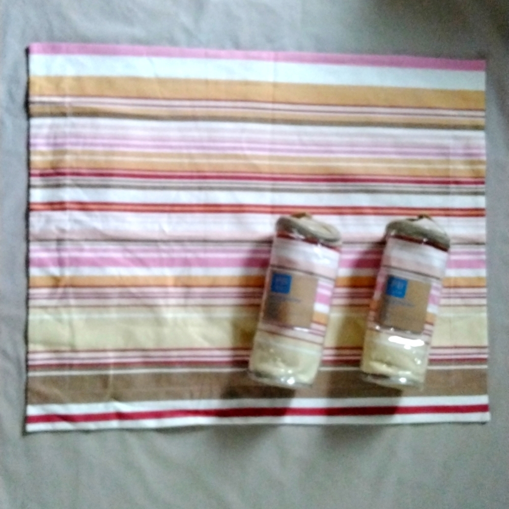 Pottery Barn Teen Jolie Fleur Striped Sham / Standard/ set of 2